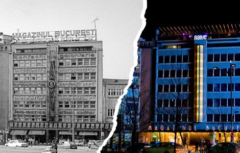 Descoperă locul unde istoria și eleganța se întâlnesc la altitudine impresionantă