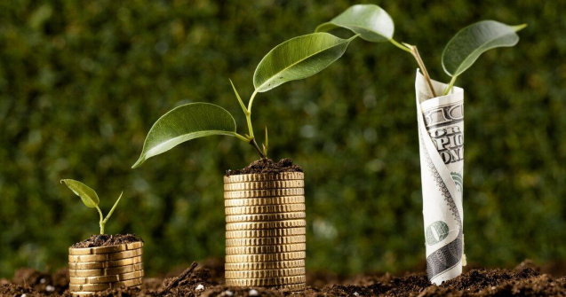 Cum să-ți protejezi economiile de inflație prin investiții inteligente