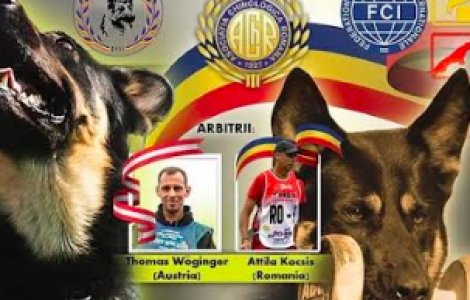Campionatul Național Utilitar 2025: Unde se întâlnesc maeștrii dresajului canin