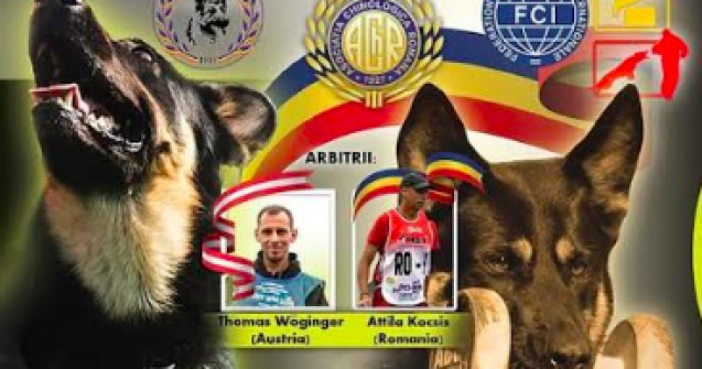 Campionatul Național Utilitar 2025: Unde se întâlnesc maeștrii dresajului canin