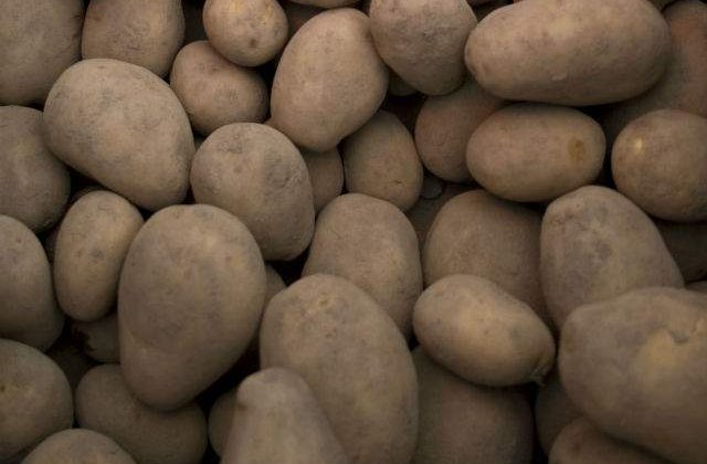 Embargoul rusilor a IEFTINIT cartofii cu 36%. Producatorii vor sa se reprofileze
