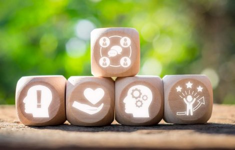 Transformă-ți relația cu cei cinci piloni ai inteligenței emoționale