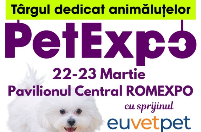 Inovație și distracție la PetExpo 2025: Produse smart, sesiuni foto AI și experiențe interactive