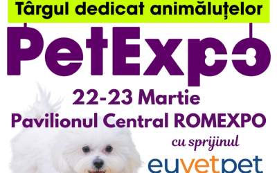 Inovație și distracție la...