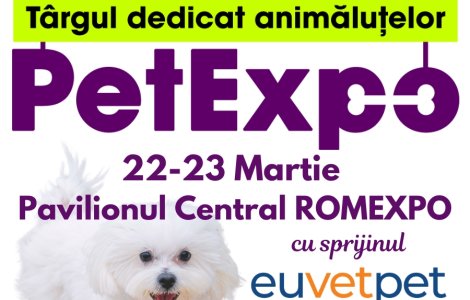 Inovație și distracție la PetExpo 2025: Produse smart, sesiuni foto AI