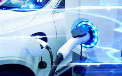 De ce au scăzut dramatic...