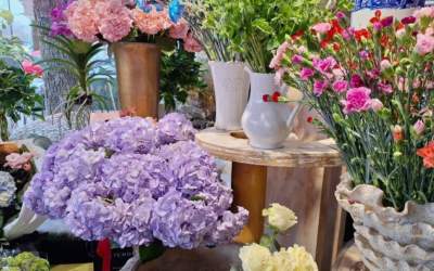 Descoperă câștigurile...