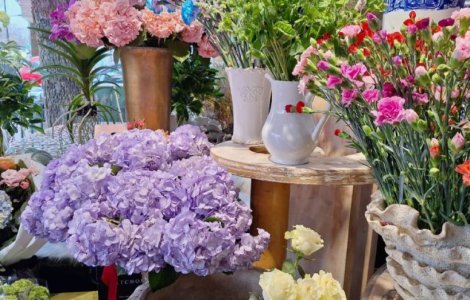 Descoperă câștigurile uluitoare din vânzările de flori de 1 și 8 Martie: 2025 promite un record istoric în România