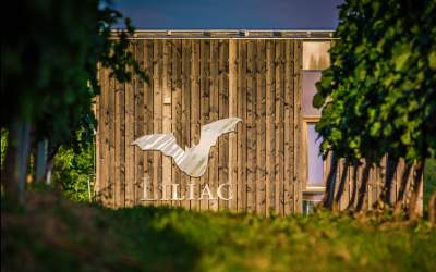 Medalia &quot;GRAND GOLD&quot; la...