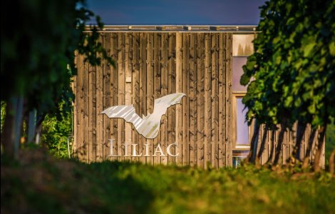 Medalia "GRAND GOLD" la Mundus Vini clasează Liliac Nectar of Transylvania printre cele mai bune vinuri de desert din lume