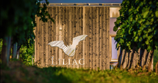 Medalia &quot;GRAND GOLD&quot; la Mundus Vini pentru Liliac Nectar of Transylvania