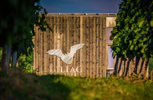 Medalia "GRAND GOLD" la Mundus Vini clasează Liliac Nectar of Transylvania printre cele mai bune vinuri de desert din lume