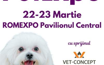 Ce surprize te așteaptă la...