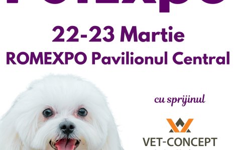 Ce surprize te așteaptă la PetExpo 2025: Evenimentul anului pentru iubitorii de animale?