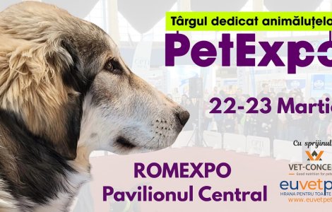 Rasele românești de câini, vedetele PetExpo 2025, la ROMEXPO