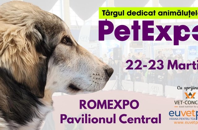 Rasele rom&acirc;nești de c&acirc;ini, vedetele PetExpo 2025, la ROMEXPO