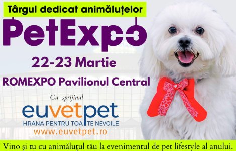 Surprizele PetExpo 2025: Tehnologie și inovație pentru animale