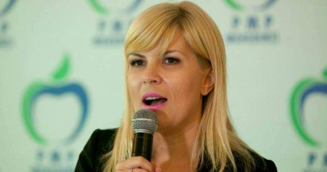 Udrea cere un pact intre partide privind situatia creditelor neperformante