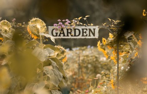 Descoperă noua gamă de produse Sezamo pentru grădinarii pasionați: peste 150 de opțiuni disponibile acum