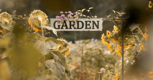 Sezamo lansează produse pentru grădinari: peste 150 de opțiuni disponibile