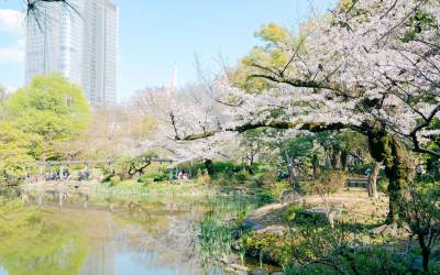 Descoperă spectacolul...