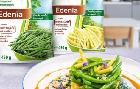 Descoperă inovația revoluționară: Macromex și OptiComm.AI dezvăluie Magico AI