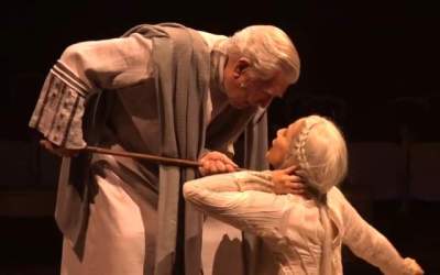 Video  Scriitorul Mario...