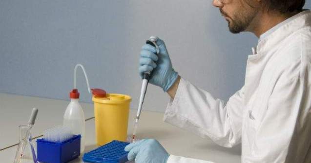 Studiu: Papilele sensibile la gustul umami, importante pentru sanatate