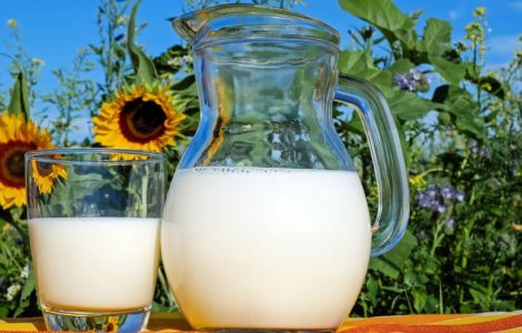 Planurile surprinzătoare ale Grupului Lactalis: ce companie din Noua Zeelandă vizează gigantul prezent și în România?