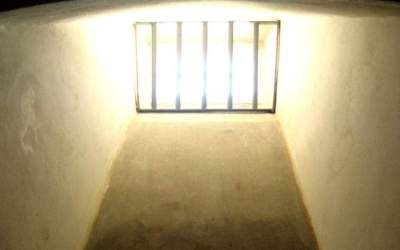 Codrut Seres si Zsolt Nagy au...