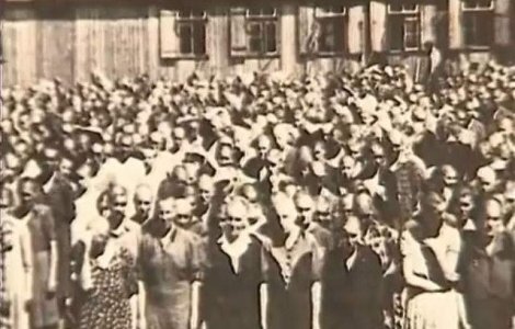  Video  Povestile CUTREMURATOARE de la Auschwitz: Ati intrat pe poarta, veti iesi pe cos!