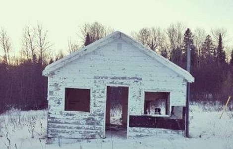 Puteti sa gasiti cainele din aceste fotografii?