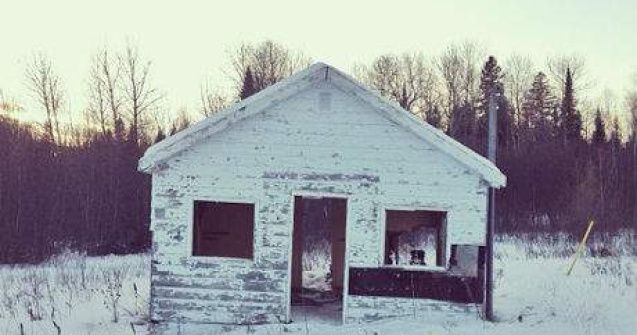 Puteti sa gasiti cainele din aceste fotografii?