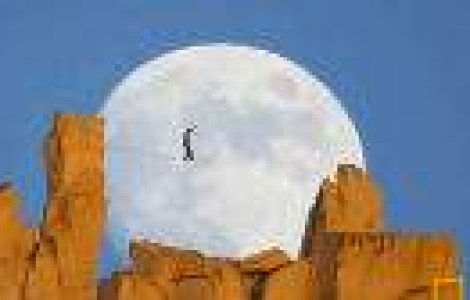 Video: Oamenii sunt uimitori