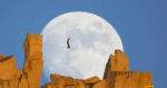 Video: Oamenii sunt uimitori