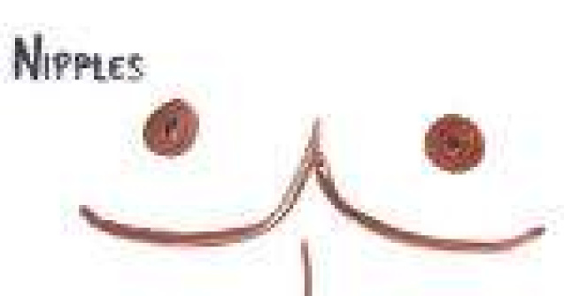 De ce au barbatii sfarcuri? Tu stii sa raspunzi la aceasta intrebare simpla?