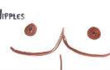 De ce au barbatii sfarcuri? Tu stii sa raspunzi la aceasta intrebare simpla?