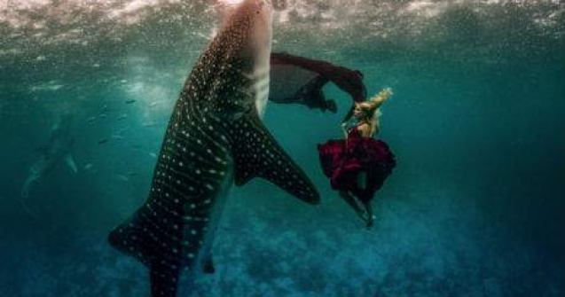 Uriasul din lumea pestilor