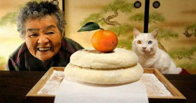 O poveste emotionanta de prietenie: Bunica Misa si pisica ei ciudata