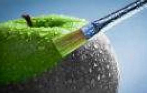 Uimitor: Artistul care picteaza orice in 90 de secunde