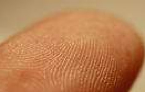 Stiti care este originea amprentelor?