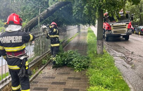 Haos în București: Descoperă ce a cauzat blocajul de trafic și distrugerea a patru mașini și a unei conducte