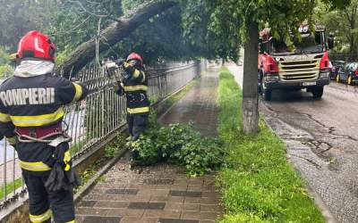 Haos în București: Descoperă...
