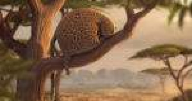 Cum ar arata animalele salbatice daca ar manca fast-food? Probabil asa: