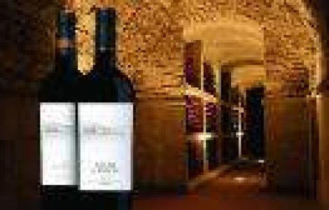 Vinurile Purcari sunt noul sponsor MasterChef