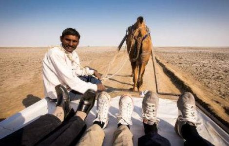 Adevarate clisee superbe - Picioarele care au vazut lumea