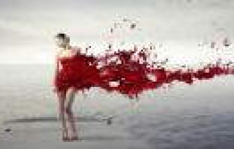  Top  Alecsandra Dragoi, primul roman castigator la Sony World Photography Awards 2013