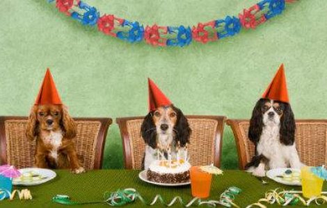 De zambit si dat mai departe! 10 bancuri pentru o saptamana cat mai vesela