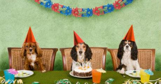 De zambit si dat mai departe! 10 bancuri pentru o saptamana cat mai vesela