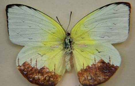 Un oras pe aripile unui fluture si alte picturi in miniatura superbe